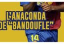 anaconda de bondoufle 91 de kubi dormoy thierry henry