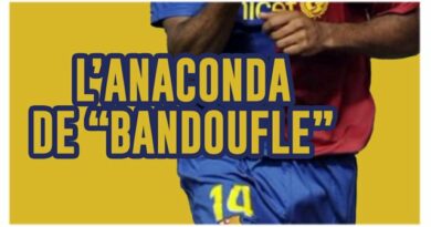 anaconda de bondoufle 91 de kubi dormoy thierry henry