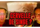 cocktail cervelle de singe recette cerveau halloween 2023 indiana jones film de kubi dormoy