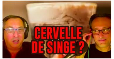 cocktail cervelle de singe recette cerveau halloween 2023 indiana jones film de kubi dormoy