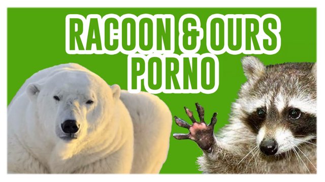 Racoon racaille et ours porno de kubi dormoy