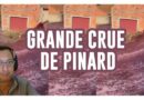 grande crue de pinard au portugal innondation de vin de kubi dormoy