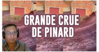 grande crue de pinard au portugal innondation de vin de kubi dormoy