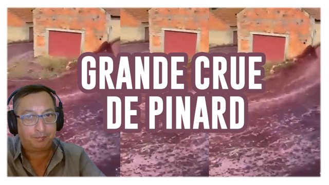 grande crue de pinard au portugal innondation de vin de kubi dormoy