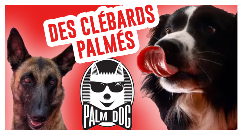 de-kubi-dormoy-chiens-palme-or-palm-dog-ouragan-chien-mechant-messi-brandy-breast-bloom-live-replay-os