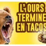 de-kubi-dormoy-ours-en-tacis-suede-kebab-viande-replay-video-agression-ours-homme-hot-dog