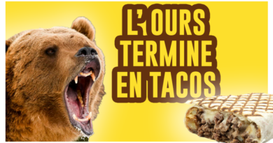 de-kubi-dormoy-ours-en-tacis-suede-kebab-viande-replay-video-agression-ours-homme-hot-dog