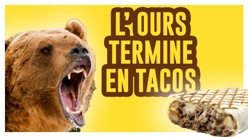 de-kubi-dormoy-ours-en-tacis-suede-kebab-viande-replay-video-agression-ours-homme-hot-dog