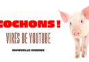 Virés de YouTube ! Nouvelle chaine @dekubidormoylive